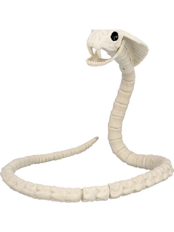 Slangenskelet Halloween Decoratie