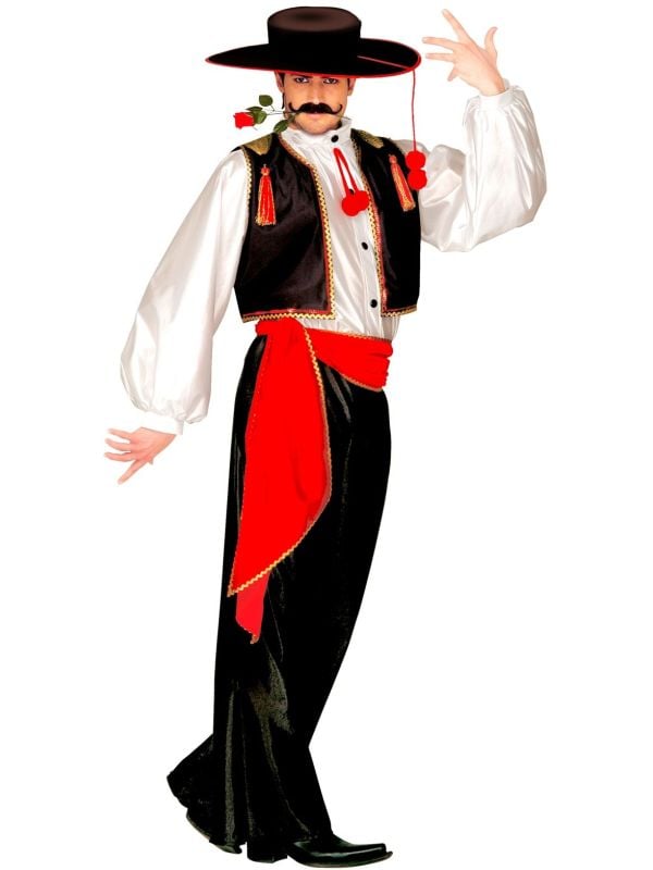 Spaanse flamenco danser