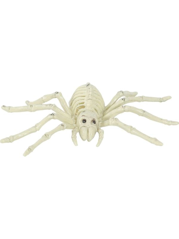 Spin skelet Halloween decoratie