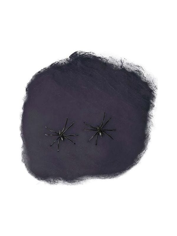 Spinnenweb Halloween decoratie zwart