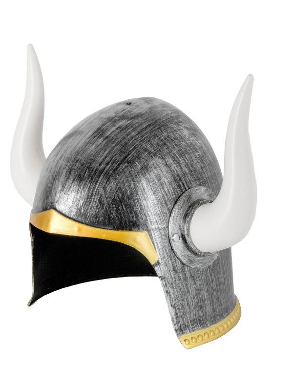 Viking Helm Heren Feest