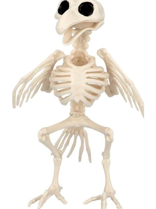 Vogelskelet Halloween Decoratie