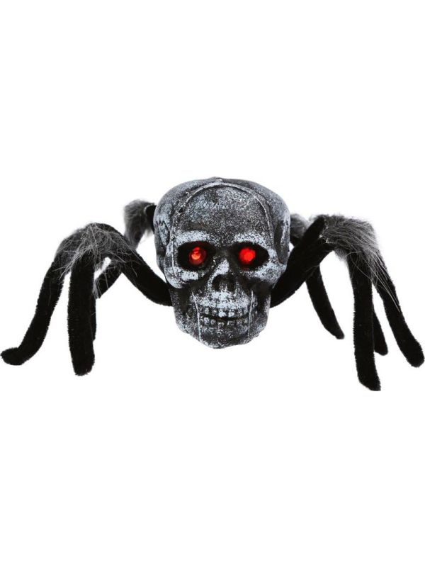 Vogelspin met schede decoratie main product photo