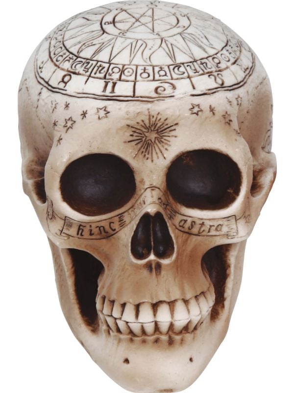 Voodoo schedel halloween tafeldecoratie 20 cm