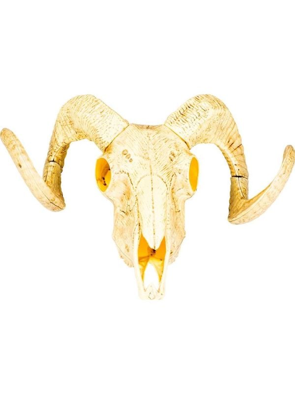 Wild west dieren schedel decoratie