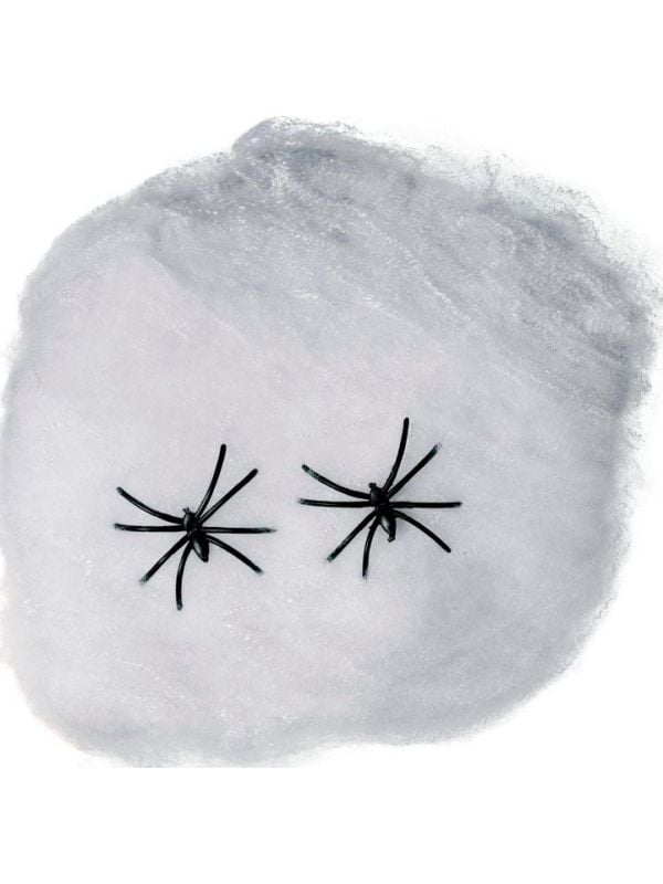 Wit spinnenweb decoratie 20gr