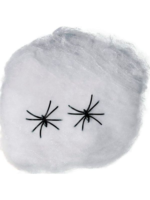 Wit spinnenweb decoratie 40gr