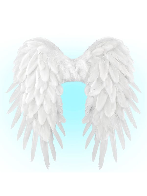 Witte Feeënvleugels Opvouwbaar