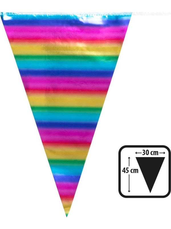 XXL metallic rainbow vlaggenlijn