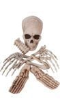 12 delige botten set halloween
