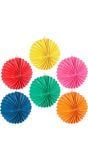 12 Papieren Ballonlampionnen Kleuren Variatie