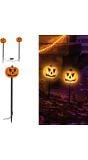 2 Pompoenen Lantaarns Halloween