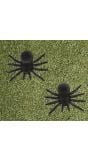 2 Zwarte Spinnen Halloween