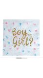 20 papieren servetten Gender Reveal