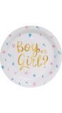 6 papieren eetborden Gender Reveal