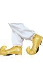Aladdin Gouden Schoenhoezen