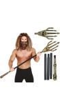 Aquaman Drietand