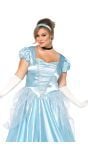 Assepoester carnaval