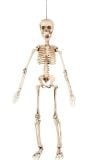 Bewegende skelet decoratie halloween