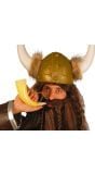 Blaashoorn voor Vikings
