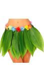 Bladerenrokje Hawaiiaans