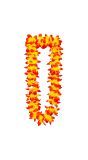 Bloemenketting Oranje Hawaii