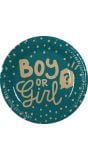 Boy or girl gender reveal papieren bordjes 10 stuks