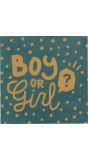 Boy Or Girl Gender Reveal Servetten 20 Stuks