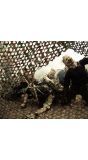Camouflage net polyester 180cm