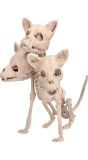 Cerberus Skelet Halloween Decoraties