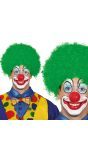 Clownspruik Groen