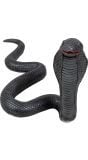 Cobra Slang Decoratie