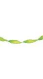 Crepe Papier Slinger 24 Meter Lichtgroen