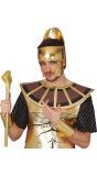 Egyptische Farao Scepter