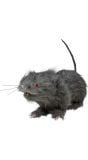 Enge rat met verlichting 30 cm halloween