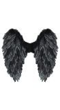 Engelenvleugels Zwart met Veren Feest Dames Heren