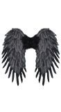 Engelenvleugels Zwart Veren Feest Dames Heren