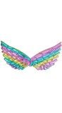 Fee Vleugels Regenboog Accessoire