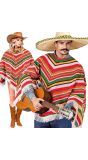 Fiesta Mexicaanse Poncho Volwassenen Gestreept