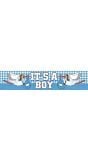 Folie banner geboorte jongen