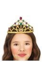 Gouden Koningin Kroon Kinderen