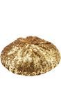 Gouden pailletten baret