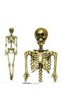 Gouden skelet decoratie 90 cm halloween