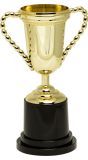 Gouden Trofee Beker 25Cm