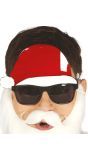 Grappige Kerstman Bril met Hoed