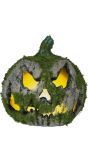 Grijs Groene Halloween Pompoen met Mos