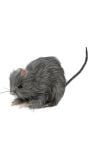 Grijze rat 15 cm