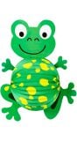 Groene kikker lampion