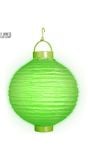 Groene lampion met 2 witte LED lichten