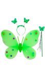 Groene Vlinder Fee Kostuumset